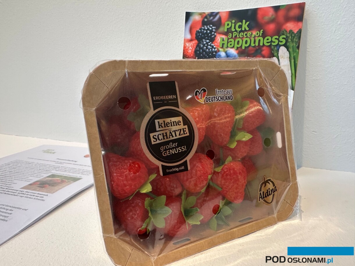 Truskawki ALDIna - o wyjątkowo dobrym, słodkim smaku, oferowane w sieci Aldi (fot. DŁB)