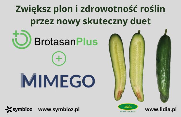 Mimego_Brotasan_Plus_620_400_OK Symbioz baner