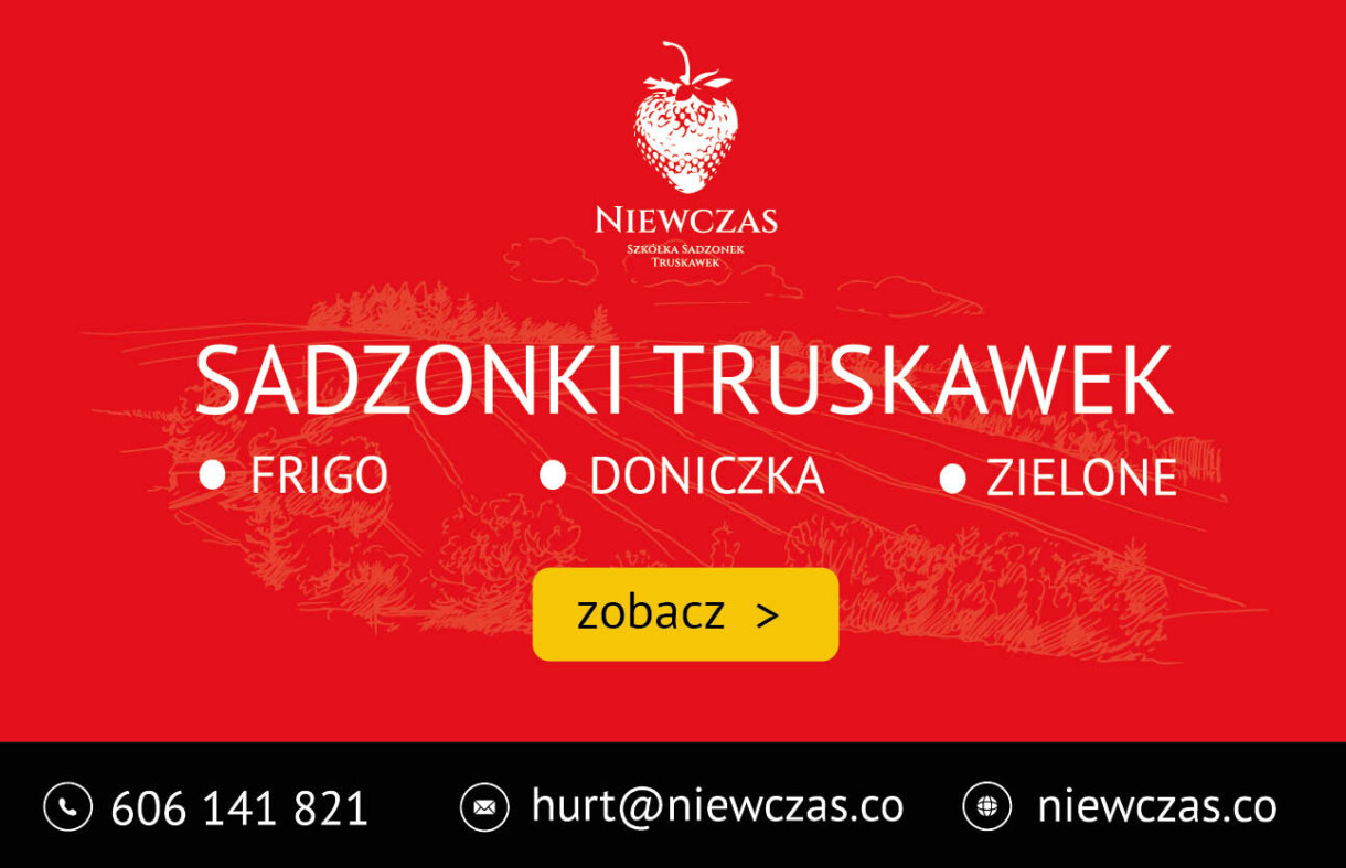 baner 620x400_3 Niewczas baner do artykułu