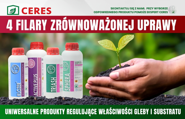 4 filary reklama pod osłonami Ceres