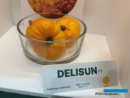 Pomidor Delisun