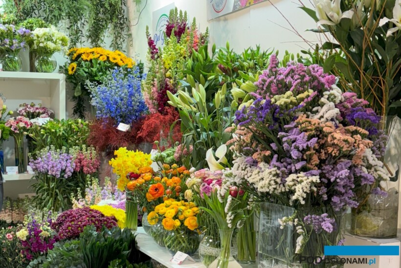 Myplant-and-Garden 2025_fot. A-Cecot
