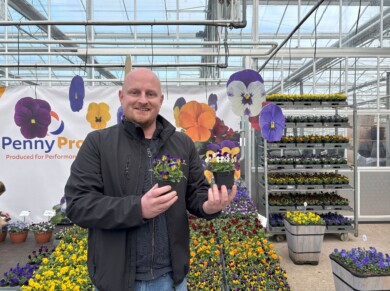 Robbin van den Berg z firmy Syngenta Flowers podkreśla zalety Penny Pro (doniczka z prawej) w porównaniu z inną, starszą serią (w drugiej ręce)