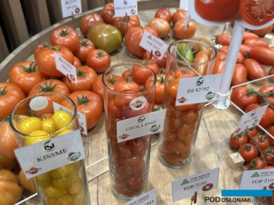 Pomidory cherry ISI Sementi