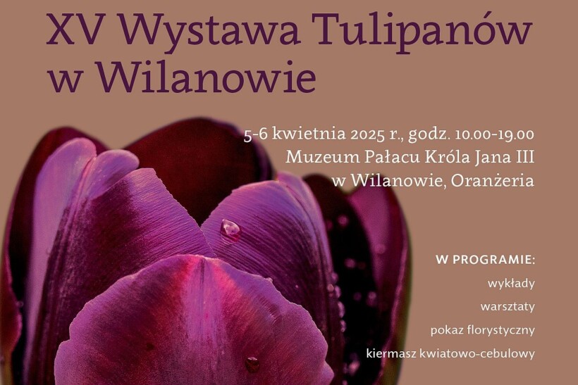 XV Wystawa Tulipanow w Wilanowie