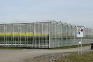15-hektarowy obiekt szklarniowy z produkcją warzyw "zero pozostałości"