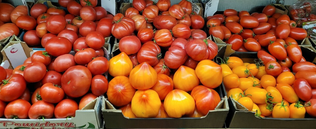 Pomidory z oferty firmy Hazera na półce sklepowej (fot. Hazera)