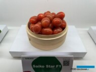 Pomidory Saiko Star
