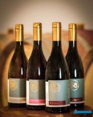 Wino z owoców New Forest Fruit