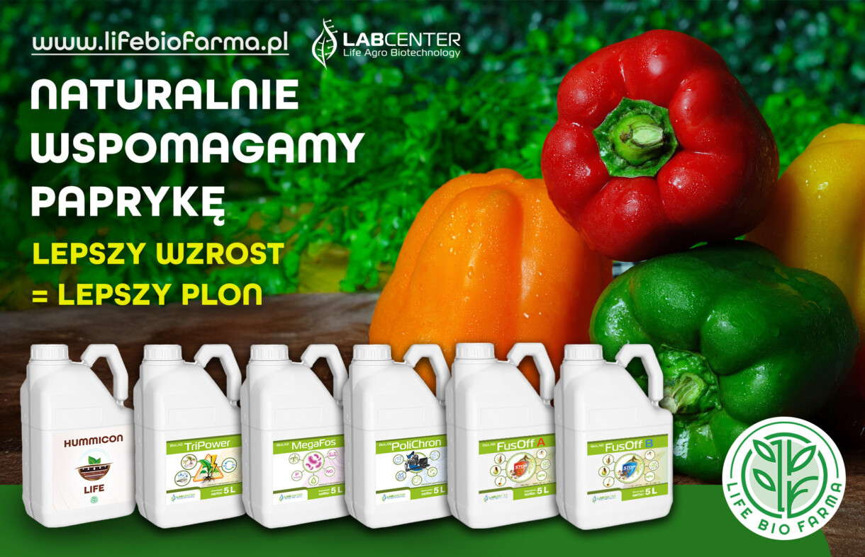 Baner-Pod-osłonami-620x400-1a Lifebiofarma