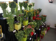 Gospodarstwo Królik_konferencja Cebulki od Krolika w twoim mieście_6-03-2025