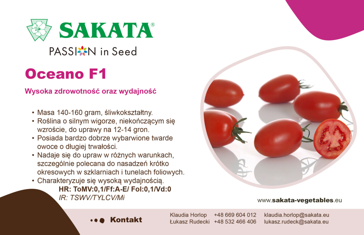 baner Oceano F1 SAKATA