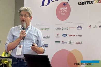 Cristiano Carli związany z Fundacją Agrion omówił doświadczenia z panelami PV na uprawie borówki