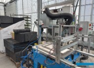 siewnik_BOTANISK_byliny_Belgia_2025_fot. A-Cecot