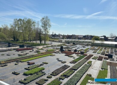 Główny fragment kontenerowni (i część obiektów pod osłonami)_Botanisk_Belgia_04-2025_fot. A-Cecot