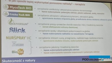 gamę produktów Bioagris do wykorzystania w produkcji truskawek
