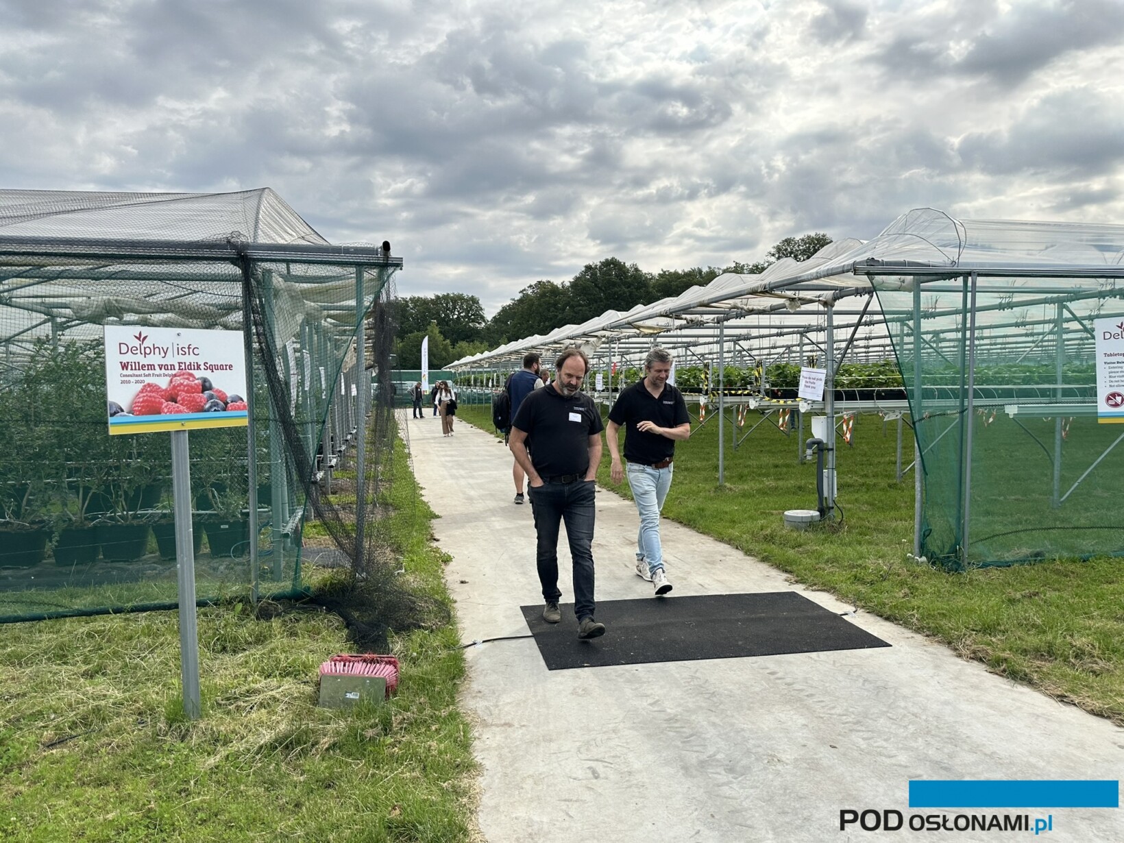 Soft Fruit Field Day