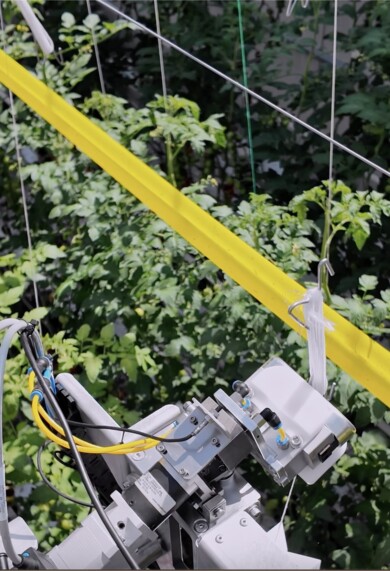 Robot opuszczający rośliny (Plant Lowering Robot) ze start-upu Arugga AI Farming