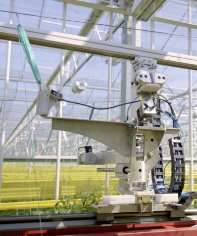 Robot opuszczający rośliny (Plant Lowering Robot), kamery, urządzenie opracowane przez start-upu Arugga AI Farming