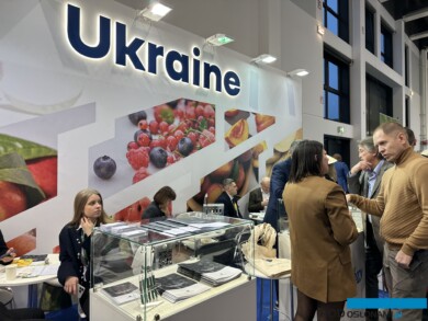 Na Ukrainie z roku na rok rośnie areał uprawy borówki, także na eksport (fot. DŁB)