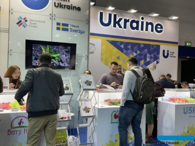 Na Ukrainie z roku na rok rośnie areał uprawy borówki, także na eksport (fot. DŁB)