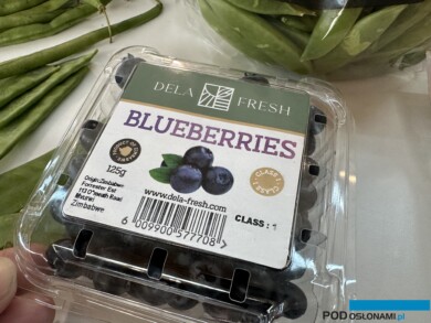 Od niedawna borówki produkowane są w Zimbabwe (fot. DŁB)
