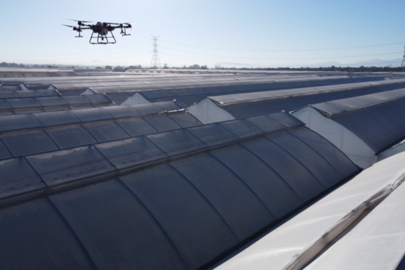 Do nakładania powłok cieniujących na szklarnie i tunele wykorzystuję się drony, powłoki cieniujące (fot. Lumiforte)