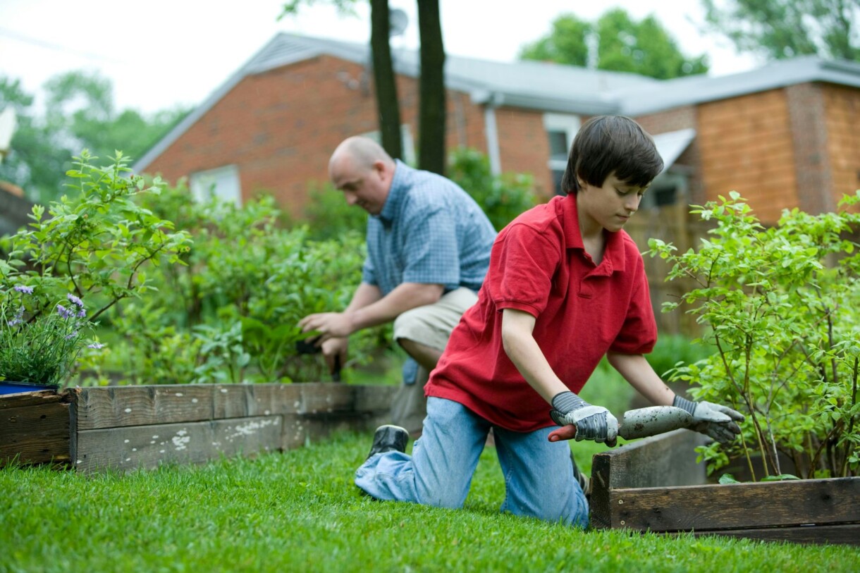 Tata z synem pielęgnują rośliny w przydomowym ogródku, https://unsplash.com/photos/man-in-red-polo-shirt-and-blue-denim-jeans-sitting-on-brown-wooden-bench-during-daytime-T9SwaYf6g40
