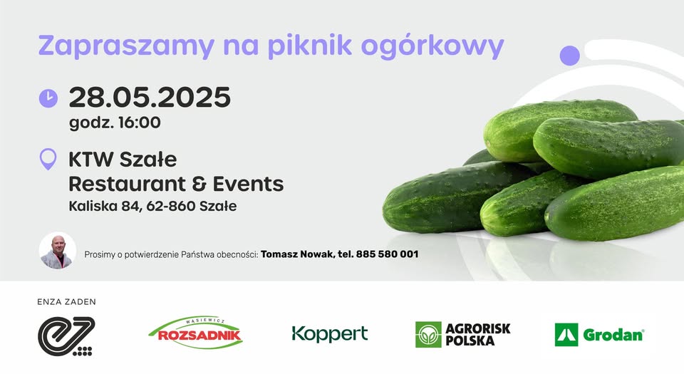 piknik ogórkowy Enza zaden