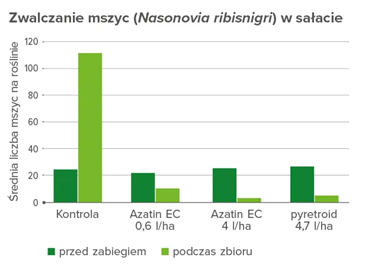Zwalczanie mszycy w uprawie sałaty
