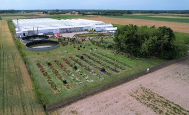 Dni Otwarte Volmary Gawartowa Wola