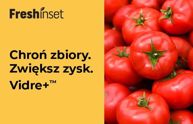 FreshInset_baner_620x400px-ok