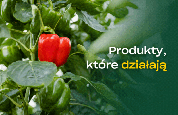 Baner Kopper PodOsłonami20250 do tekstu o M. Bednarku