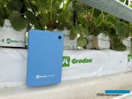 Czujnik GroSens umożliwia kontrolę parametrów w macie