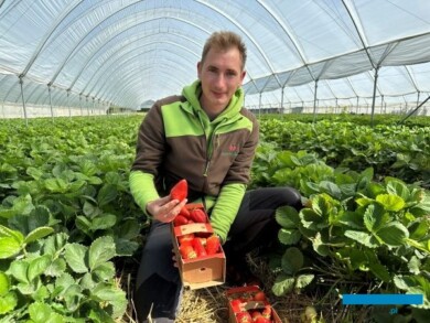 Mateusz Maruszewski, Farma Mój Owoc i Lody z Farmy