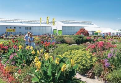 Dni Otwarte Volmary Gawartowa Wola