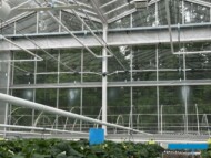 System zraszaczy, który wspomaga utrzymanie warunków termicznych w obiekcie