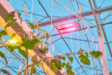 Philips GreenPower LED Force (fot. Signify)