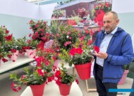 Bartłomiej Pierzchalski z firmy Syngenta Flowers przedstawia nowość z serii RIO - odmianę Rio Lipstick_FlowerTrials 2025 (fot. A. Cecot)