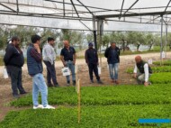 Uczestnicy Dni Otwartych Cora Seeds w poprzednich latach (fot. Cora Seeds)