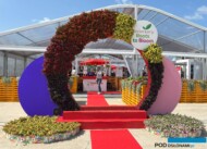 FlowerTrials 2025 w firmie Beekenkamp (Holandia)_fot. A-Cecot