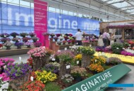 FlowerTrials 2025 w firmie Danziger (Holandia)_fot. A-Cecot