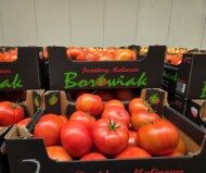 Pomidor malinowy Kornati (fot. AW)