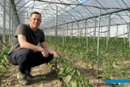 Karol Bąk kolejny sezon uprawia paprykę w nowoczesnym, pompowanym tunelu