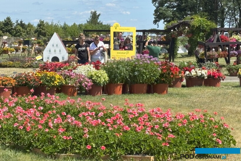 Dni Otwarte Volmary Gawartowa Wola 2025_fot. A-Cecot_