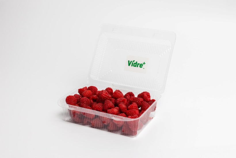Vidre+ to innowacyjne rozwiązanie, pozwalające na przedłużenie trwałości świeżych owoców - np. malin (fot. Fresh Inset)