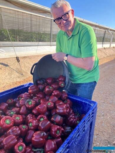 Papryka Arnold Reijers crop manager(fot. Rijk Zwaan)