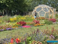 Część prezentacji z poletkami gruntowymi (w tym łąkami kwietnymi) i "futurystycznym" obiektem foliowym ze szczepionymi warzywami_Dni Otwarte firmy Volmary w Gawartowej Woli 2025_fot. A-Cecot