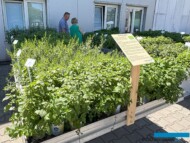 Pokaz bogatego asortymentu ziół i roślin przyprawowych_Dni Otwarte firmy Volmary w Gawartowej Woli_fot. A-Cecot