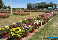 Dni Otwarte firmy Volmary w Gawartowej Woli_Fragment pokazu - z daliami w pojemnikach_fot. A-Cecot